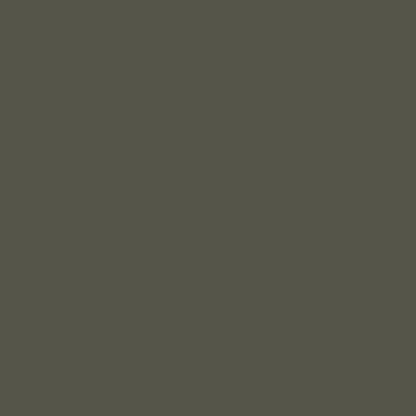 888 GRIS OLIVE – Image 2