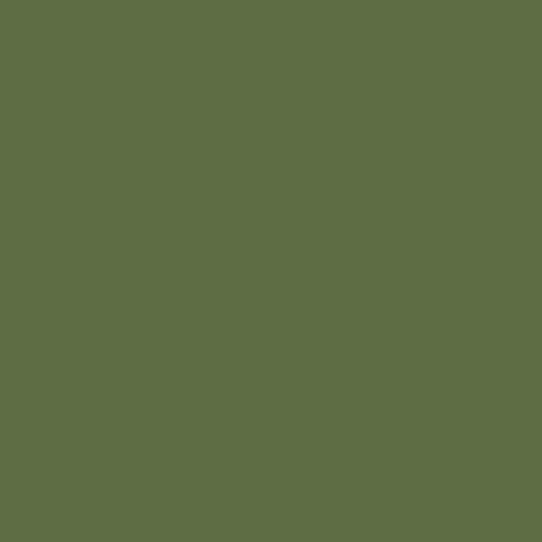 967 VERT OLIVE – Image 2