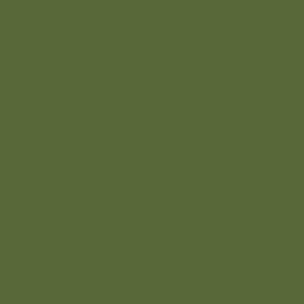 EXTRA OPAQUE VERT G146 – Image 2