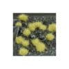 BEIGE 4MM