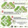 SO CLOVER – Image 2