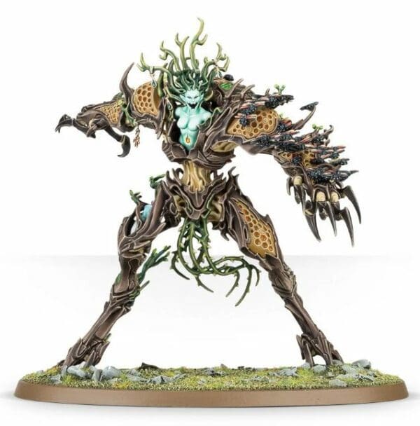 DRYCHA HAMADRETH – Image 2