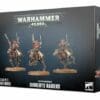 SERBERYS RAIDERS