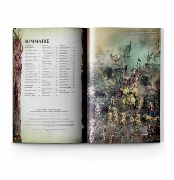 TOME DE BATAILLE: MAGGOTKIN OF NURGLE (FRANÇAIS) – Image 3