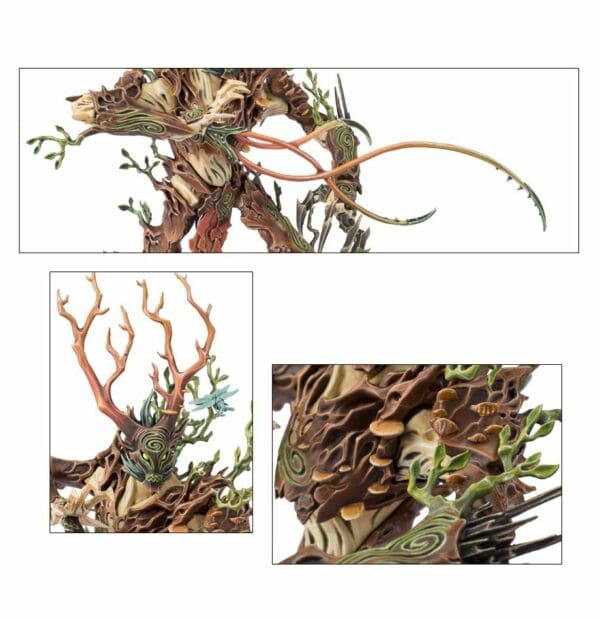 SYLVANETH TREELORD – Image 3