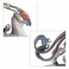 LORD-AQUILOR – Image 4