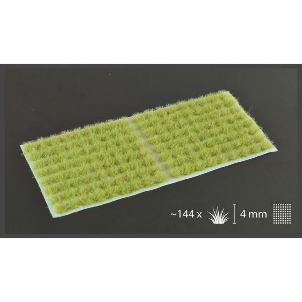 LIGHT GREEN X 144 (4MM) SMALL