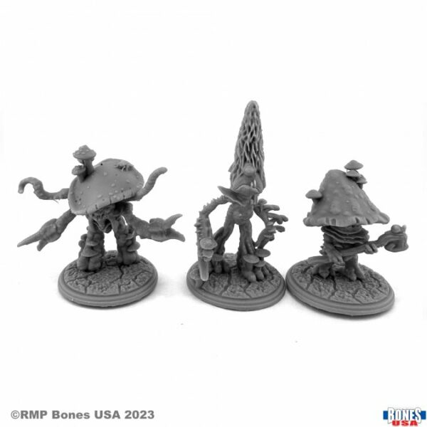 FUNGOIDS (3)